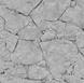 Шпалери It's Me 05592-40