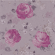 Обои Florentine 17 ViVl 448849