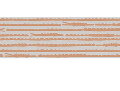 Oilily Young Borders 961291